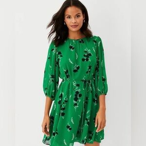 Ann Taylor size 4 Tall Floral Belted Flare Dress In Vibrant Clover Long Sleeve